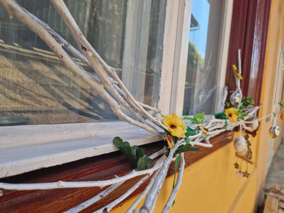 Flh - Apartament Mai Cu Aroma De Cafea Si Ceai Sibiu Exterior foto