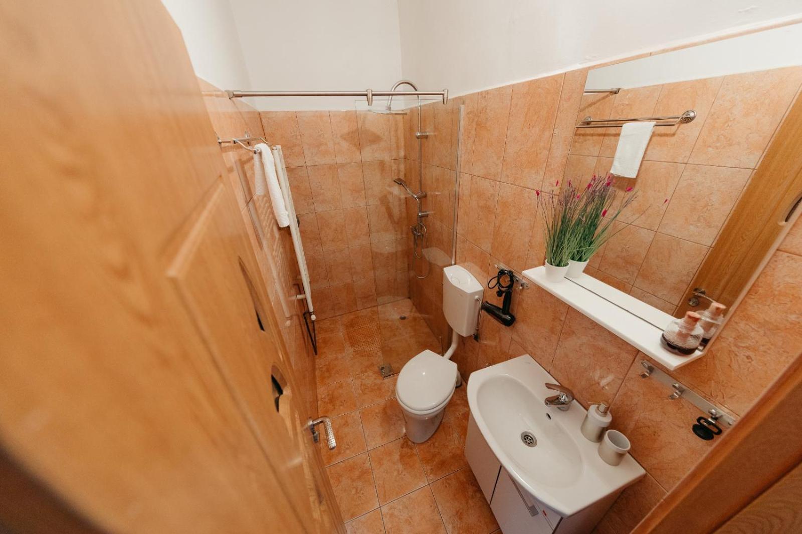 Flh - Apartament Mai Cu Aroma De Cafea Si Ceai Sibiu Exterior foto